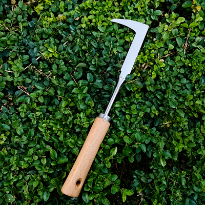 Crevice Weeding Tool