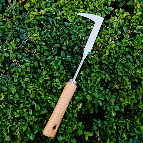 Crevice Weeding Tool