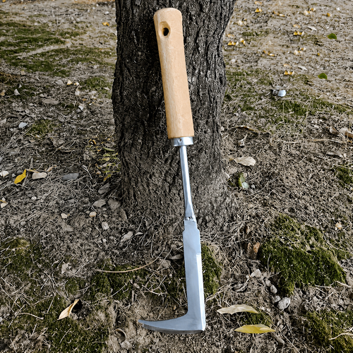 Crevice Weeding Tool
